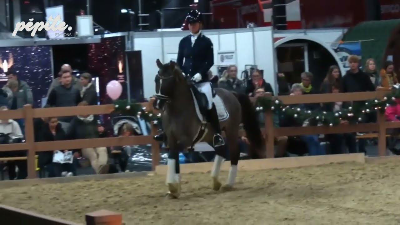 FS NESQUICK - Show étalons décembre 2024