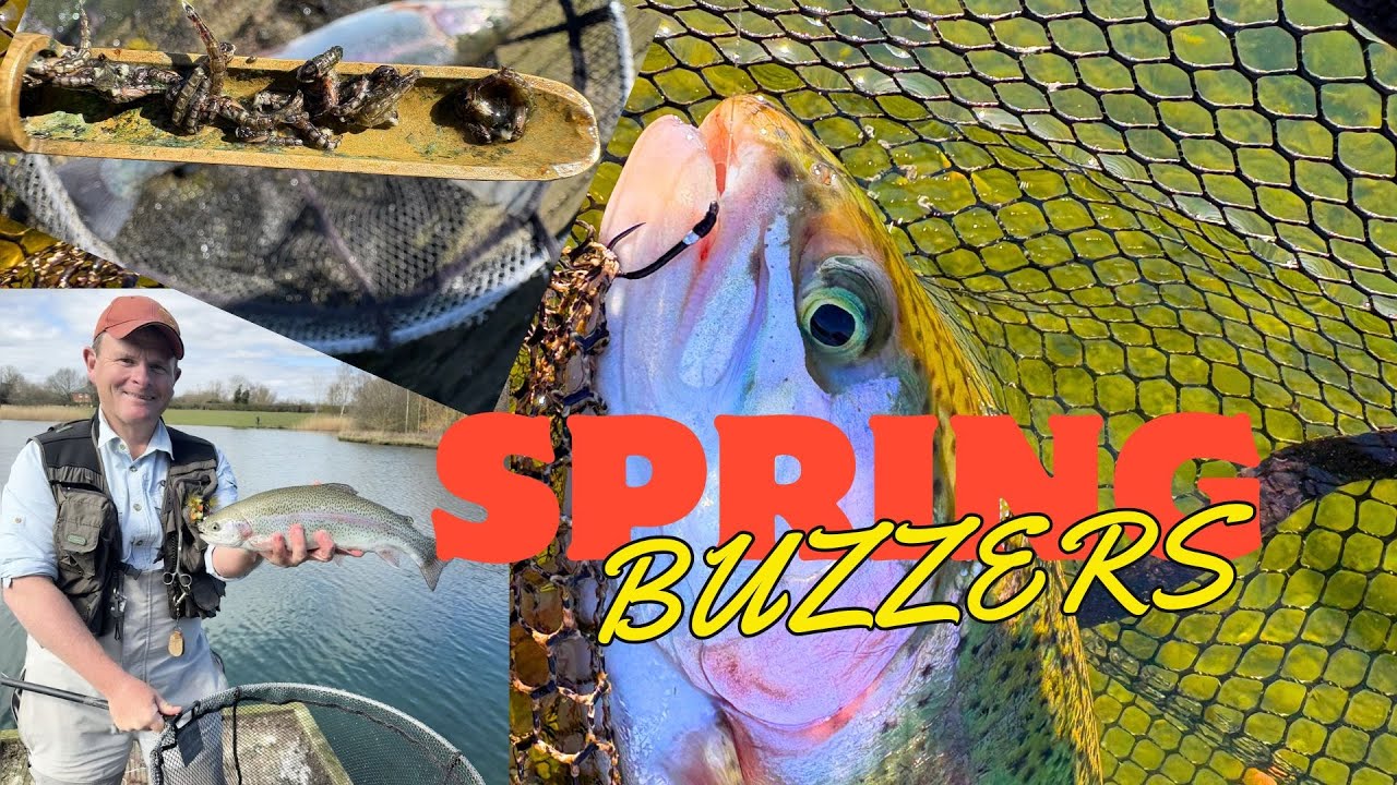 Spring Buzzers : Straight lining for those rod ripping takes !