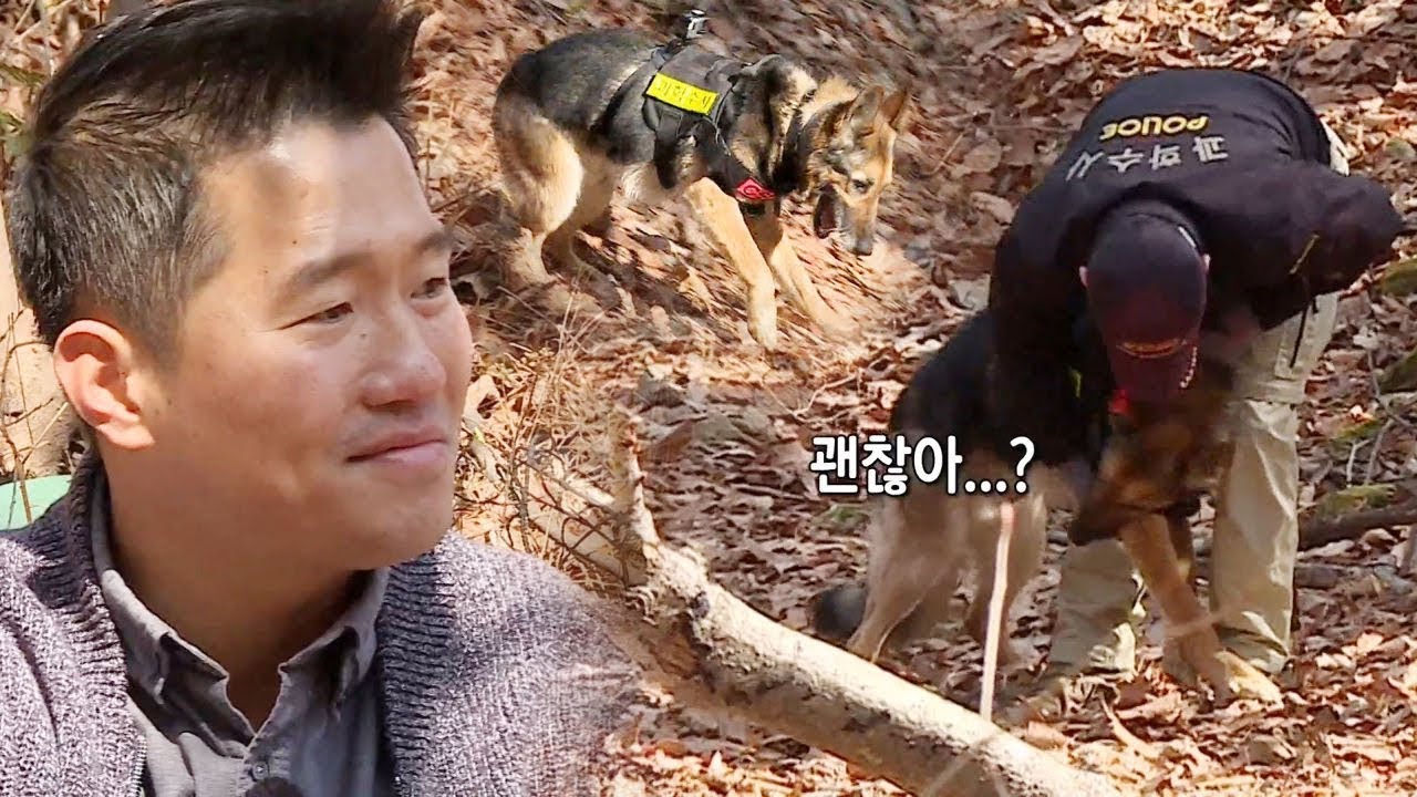 ‘강형욱 찾기’ 레오, 훈련 도중 갑자기 멈춘 이유는? @집사부일체 63회 20190331