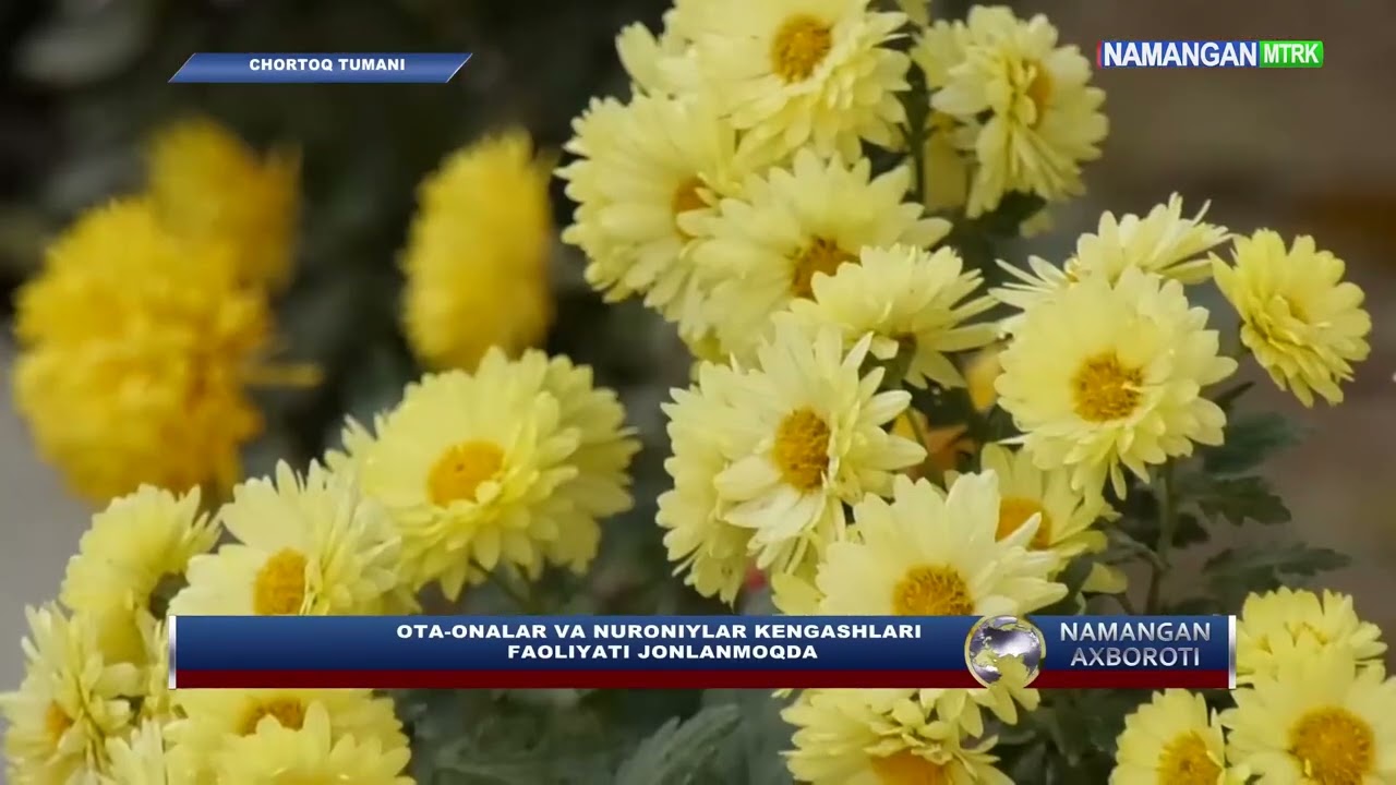 Тўй-маросимларни ихчамлаштириш борасида Чортоқ туманида ота-оналар ва нуронийлар кенгаши фаолияти
