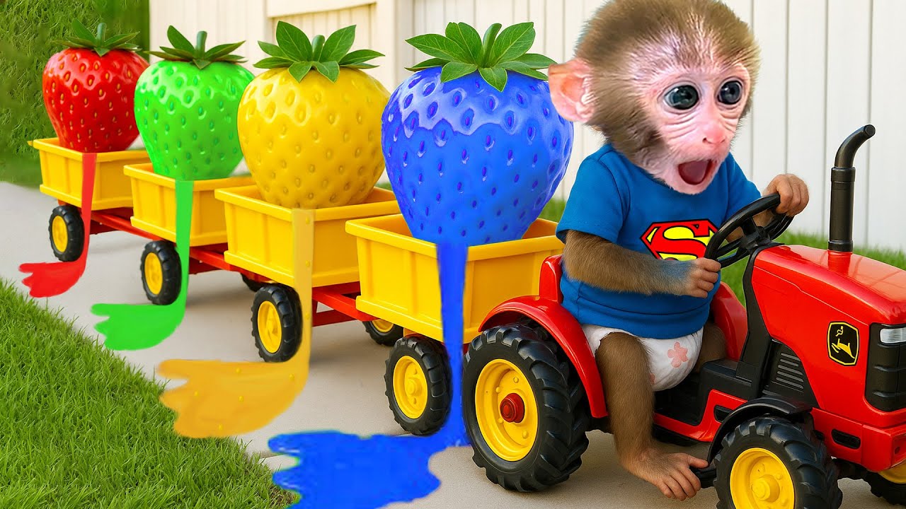 El bebé mono Bonbon cosecha frutas de arcoíris y hace palomitas de maíz.