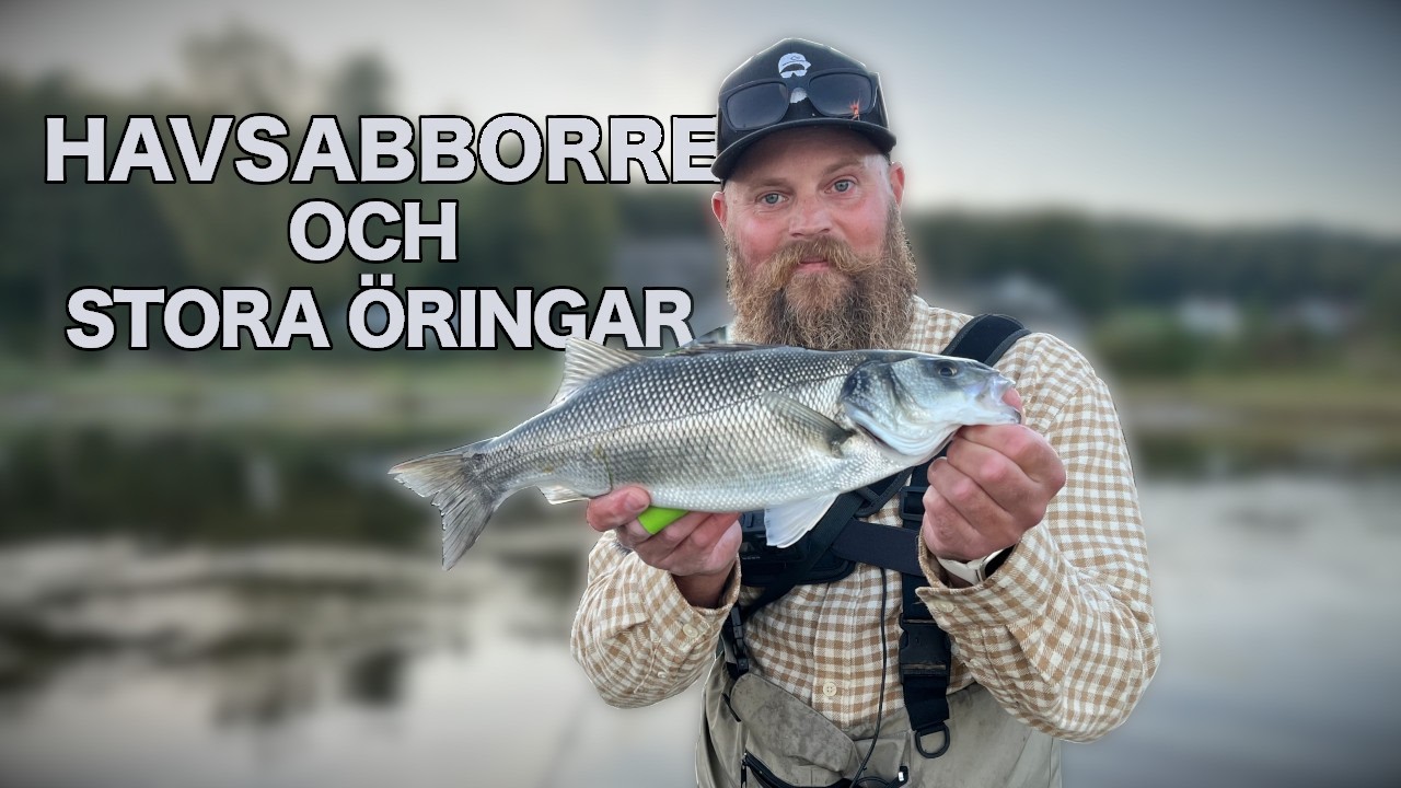 Sveriges ovanligaste fisk ? Havsöring på västkusten - GALET FISKE!!!
