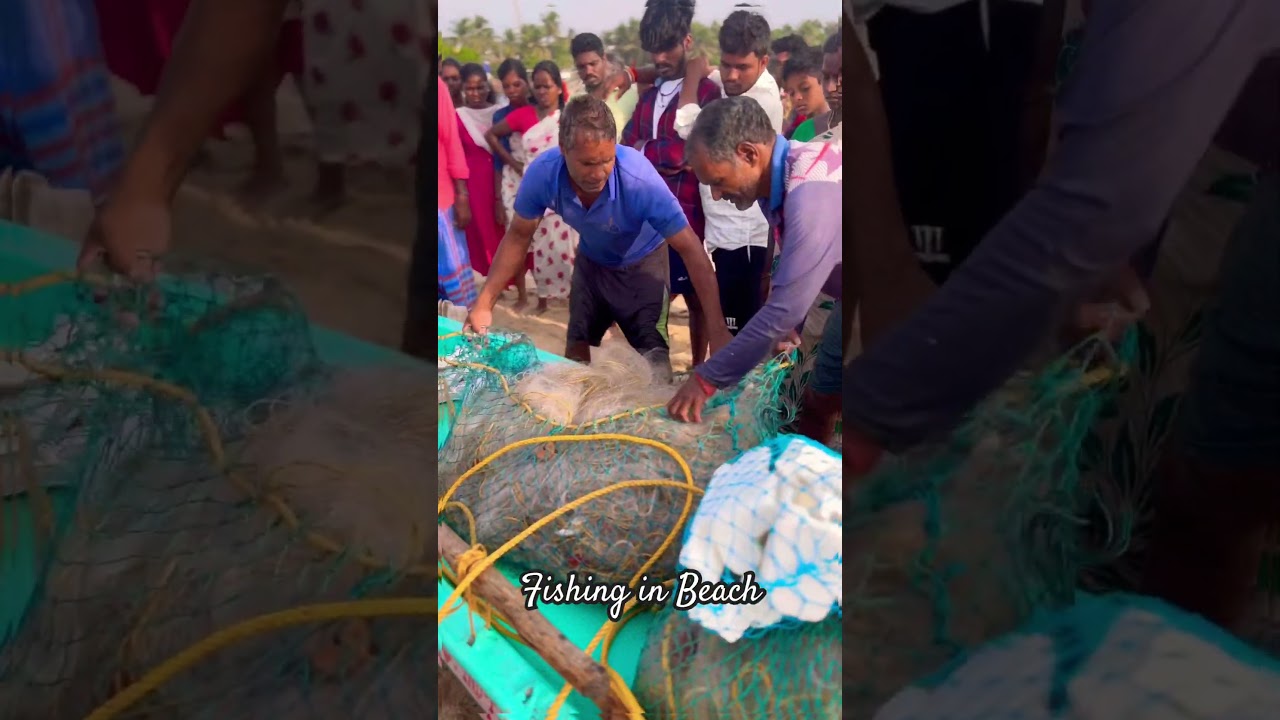 Fishing in Veerampattinam beach Pondicherry | fish market