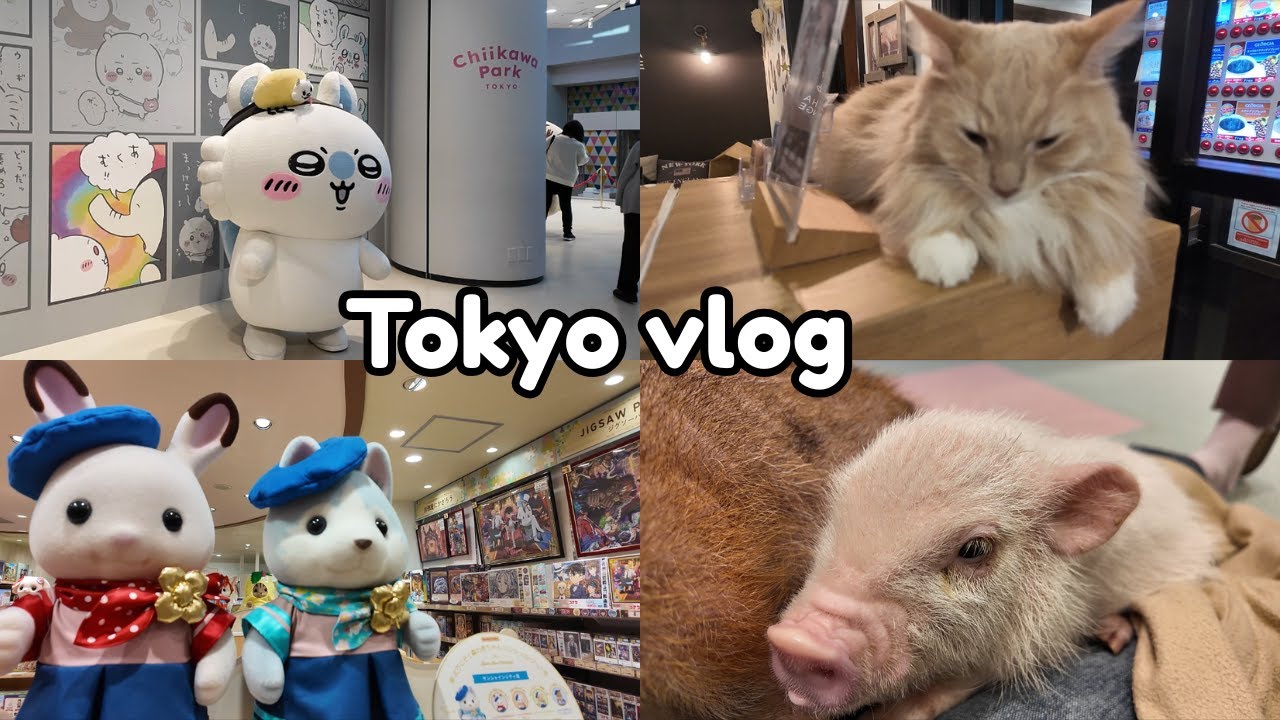 Day in Tokyo  - Chiikawa Park, Pig, & Cat Cafe
