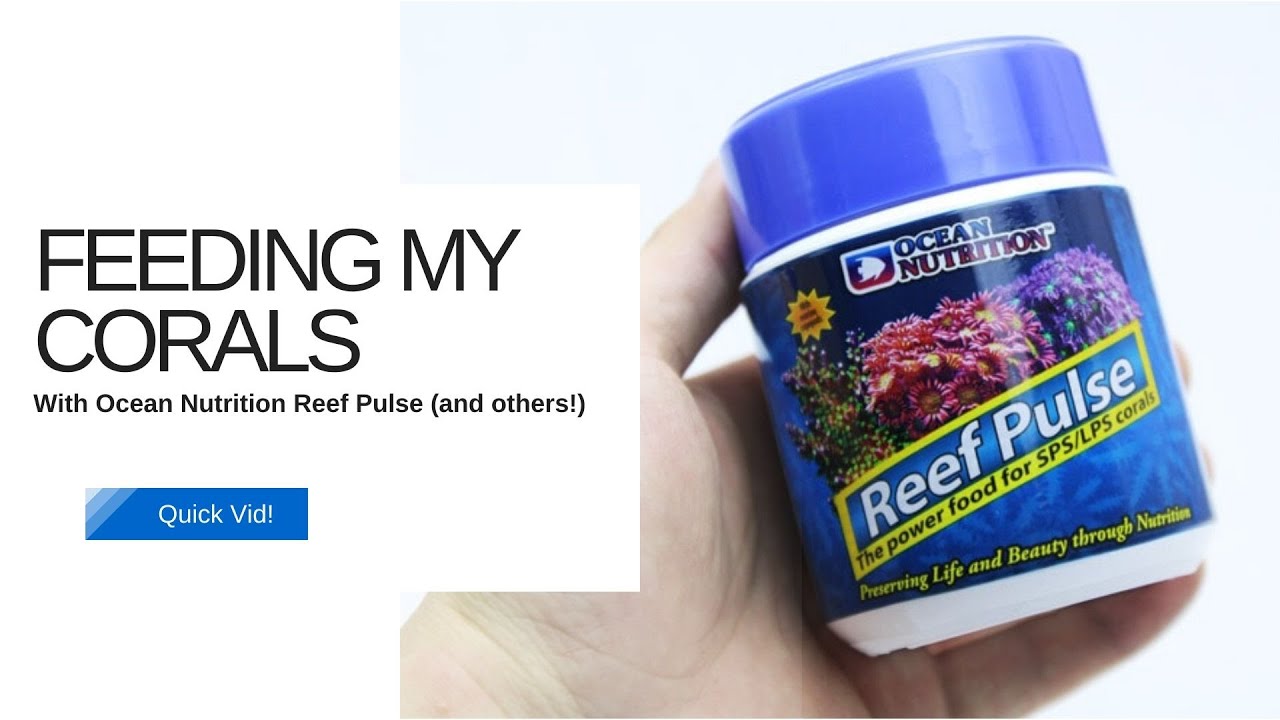 Feeding my corals the new Ocean Nutrition 
