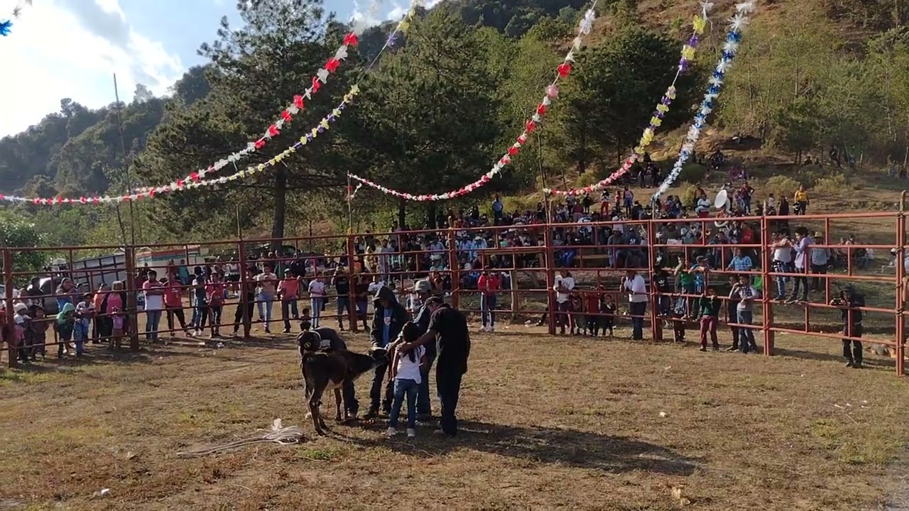 colonia el para&iacute;so anexo de moyotepec  2022