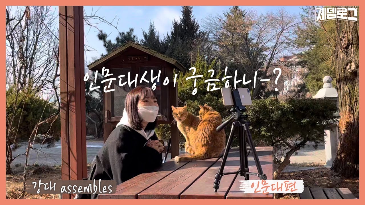 강원대 assembles#1 인문대가 궁금하니-? | 인문대 구석구석👣 | 치즈랑 체다도 함께-🐱