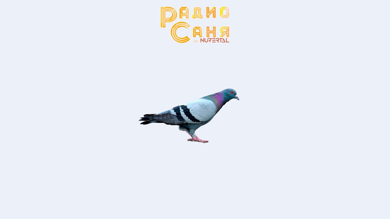 Спонтанный стрим, Drum and Bass шоу Радио Саня