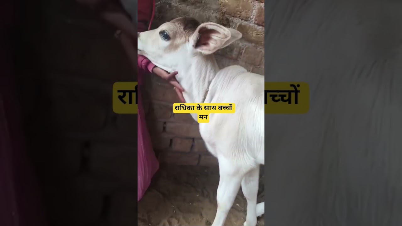 स्पोर्ट्स प्लीज़ 