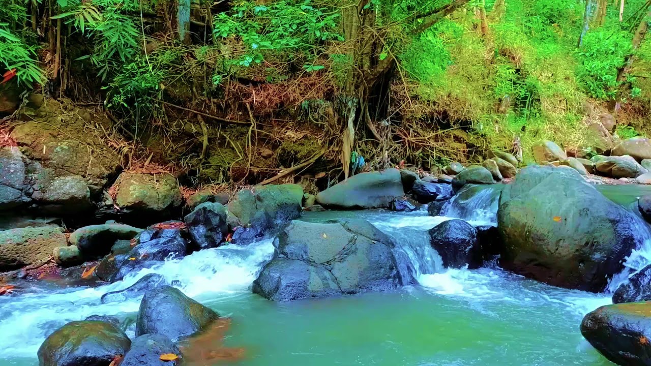Calm River Nature Ambience for Meditation and Better Sleep