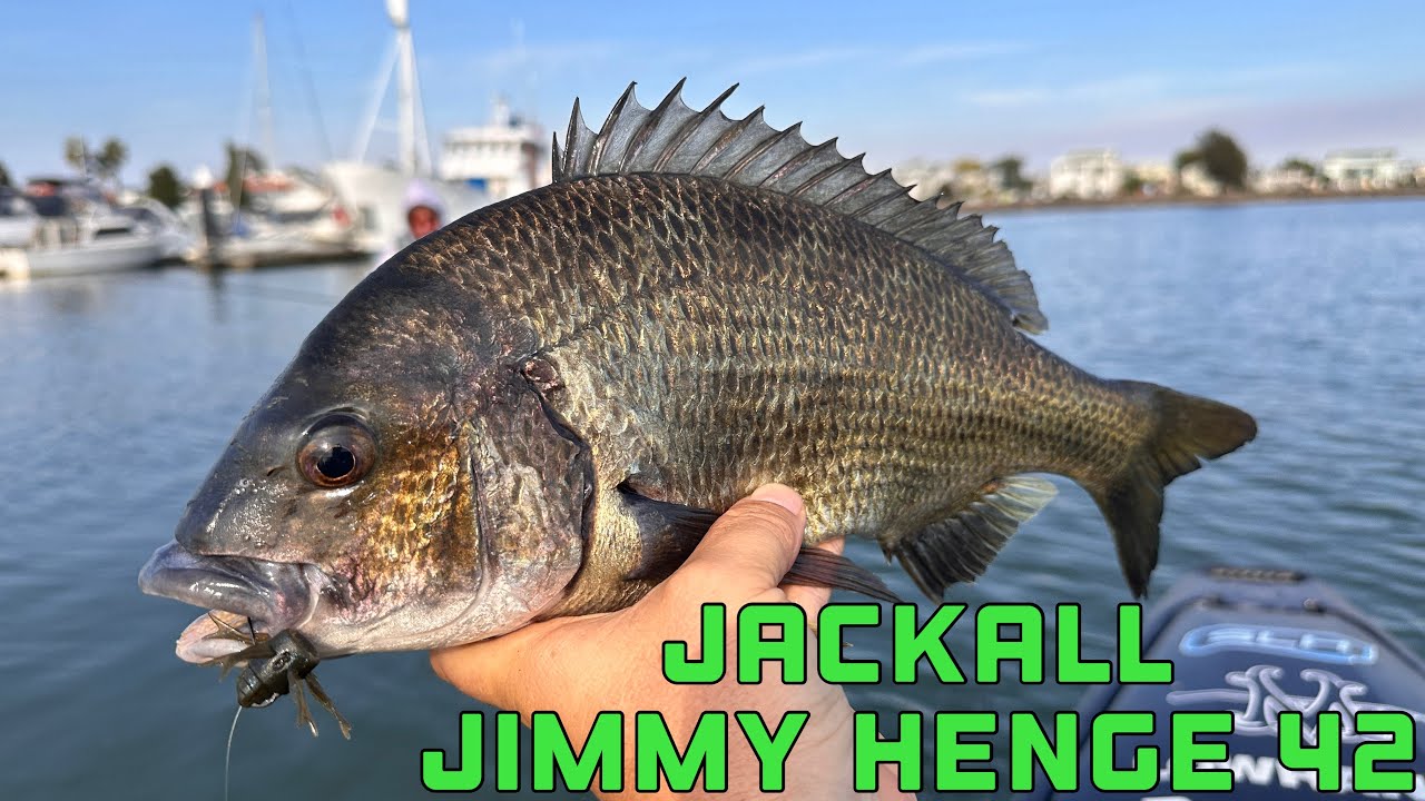 Bream on the Jackall Jimmy Henge 42