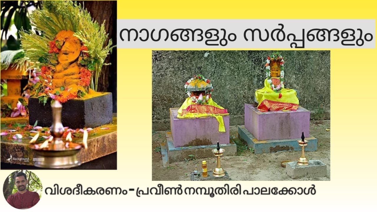 Ngam and Sarpam (നാഗങ്ങളും സർപ്പങ്ങളും ) ph 09526040391