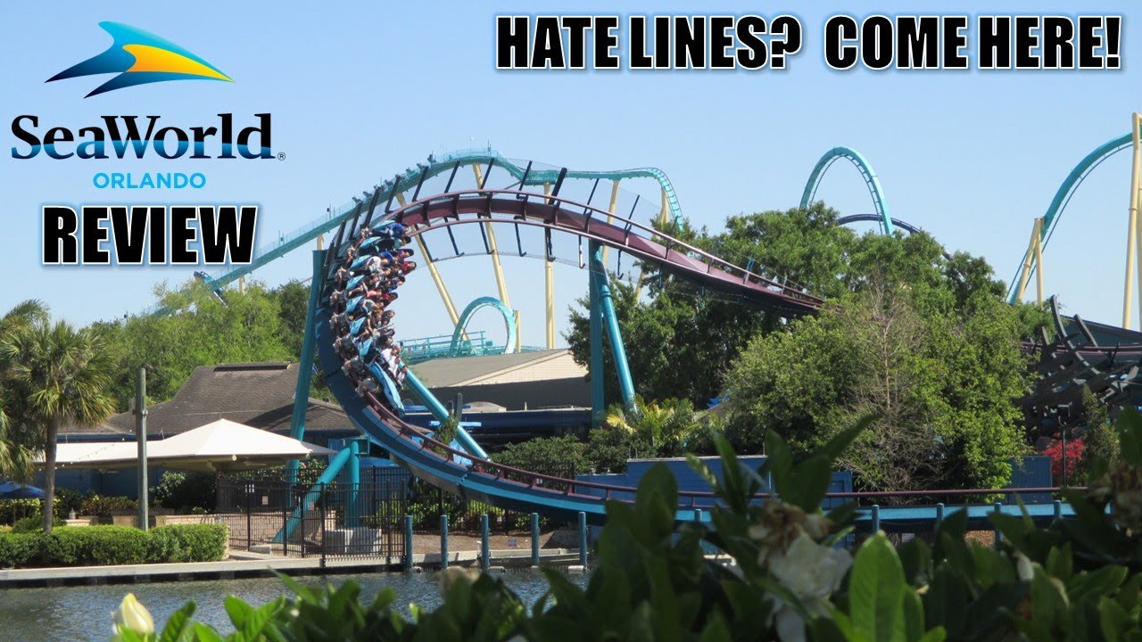 Обзор SeaWorld Orlando, тематического парка и аквариума Флориды | Ненавистные очереди, идите сюда!