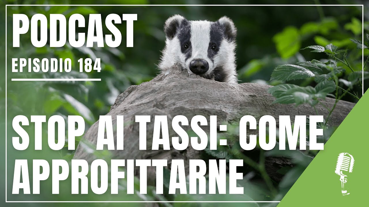[Podcast #184] 4 strumenti per guadagnare con tassi stabili