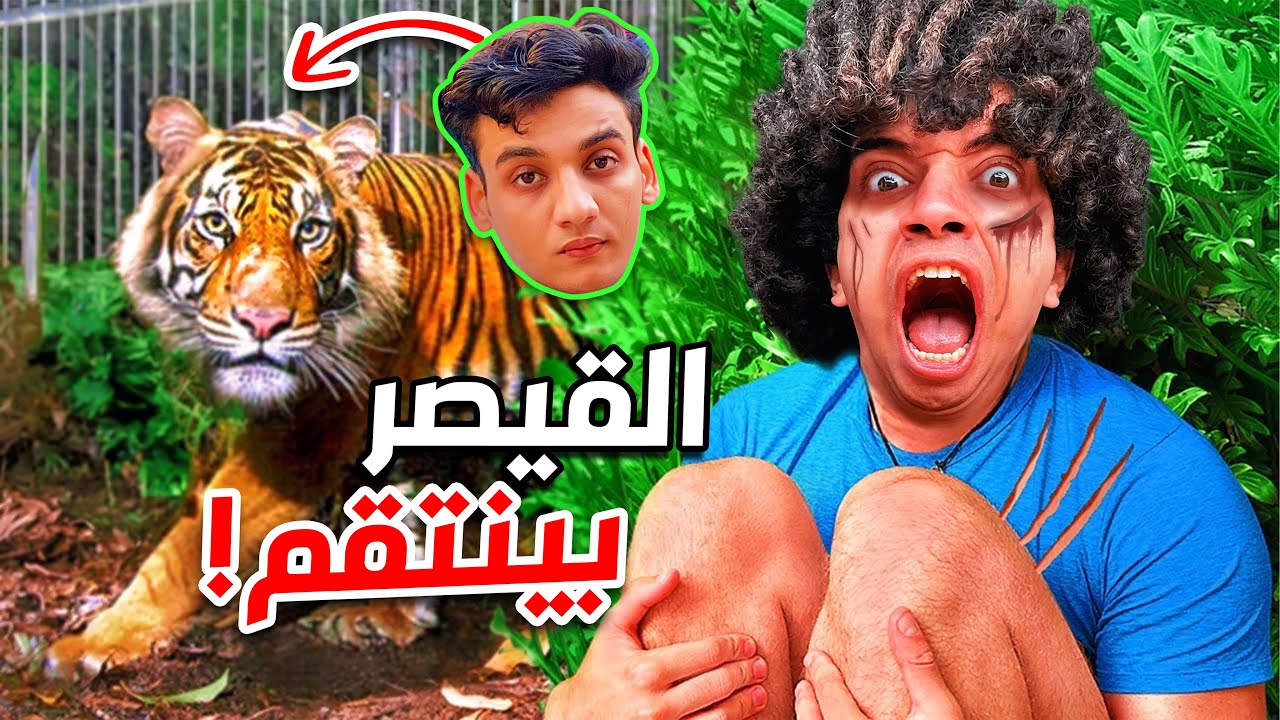 القيصر جايبلى اسد ؟ 😱