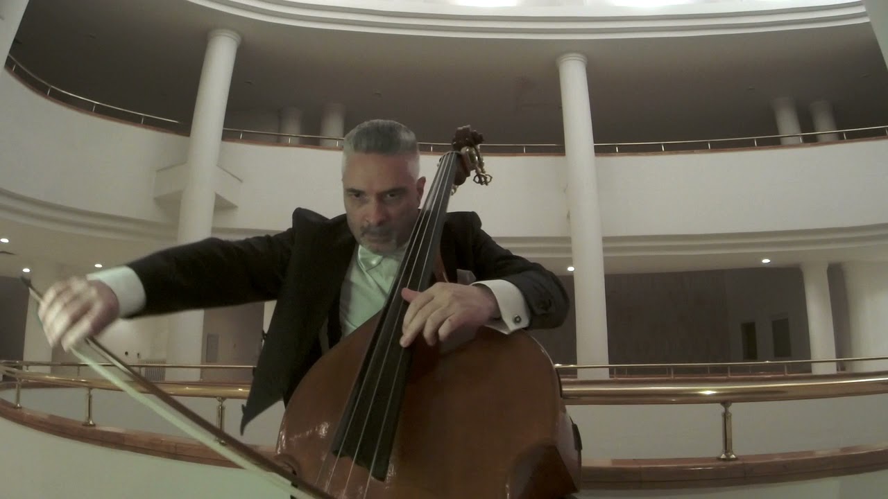 Domenico DRAGONETTI - Waltz No.4