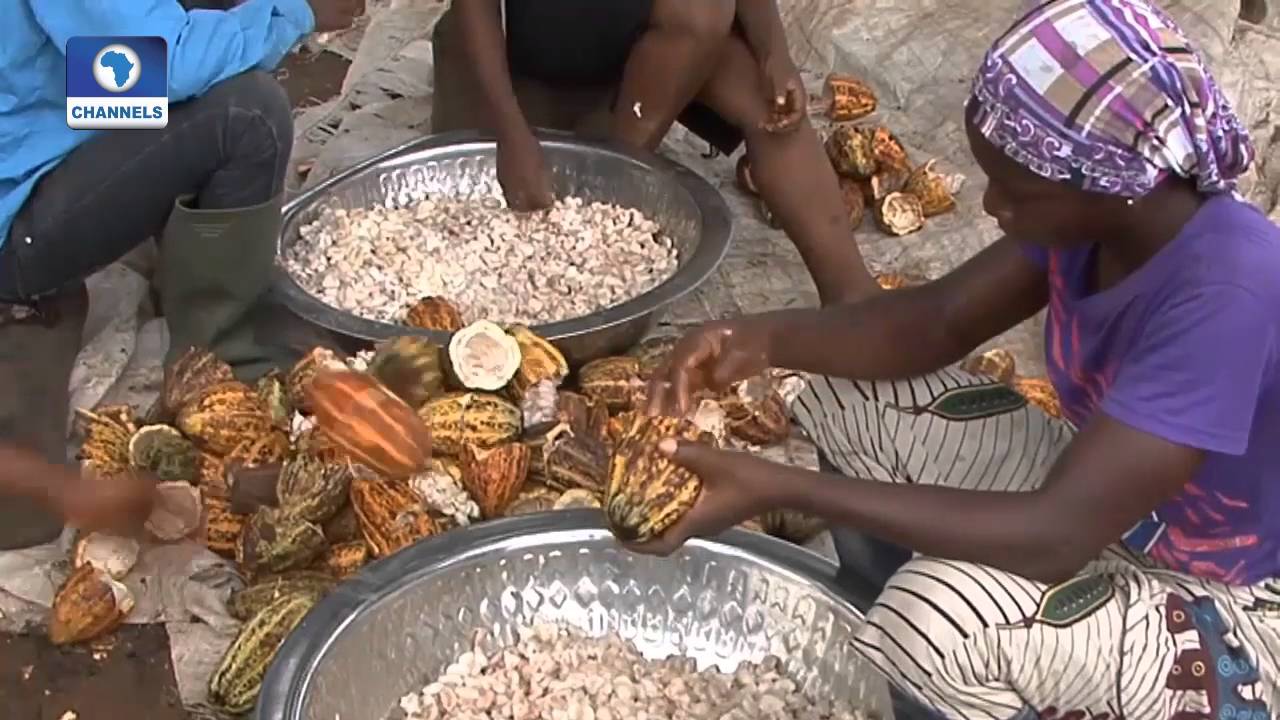 Question Time: Focus On Agriculture Dev In Nigeria With Audu Ogbeh Pt 2