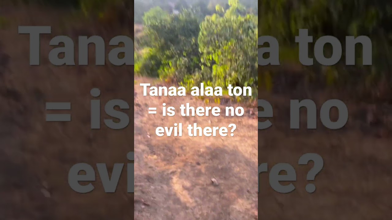 Pulaar lesson #4 | Tanaa alaa ton = is there no evil there? | #shots #pulaar_fulbe #pulaar #pulaar