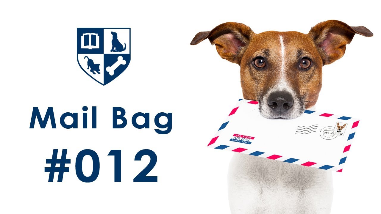 Dunbar Mailbag #12 - Bite Inhibition/Stop Dog Biting