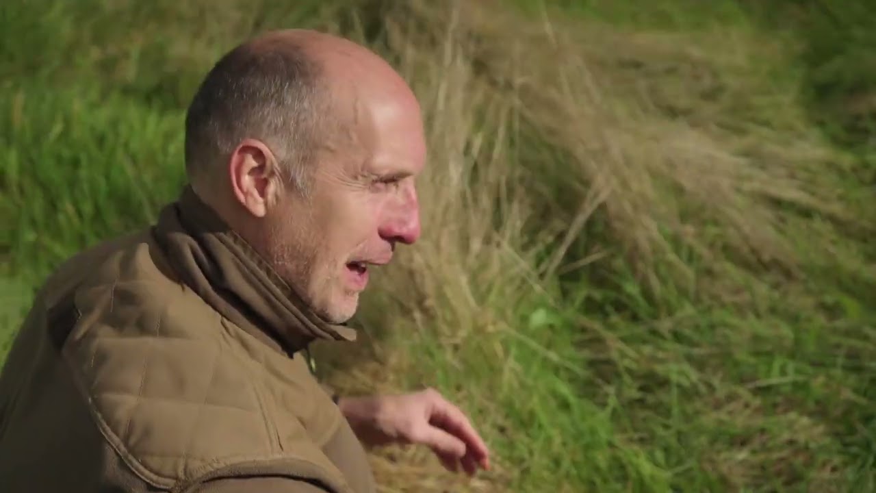 Waarom maaien wij graslanden gefaseerd? | Natuur en Zo