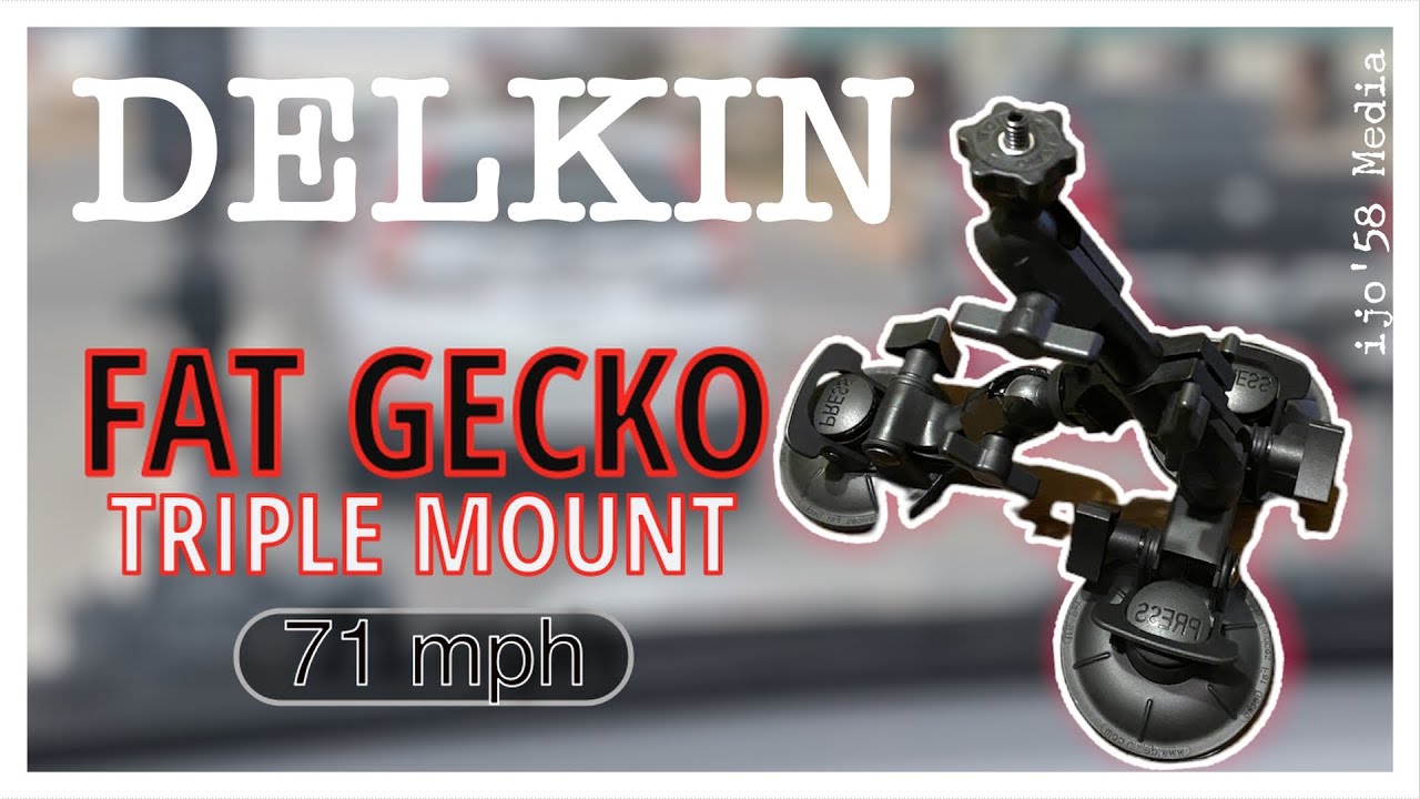 DELKIN | Fat Gecko
