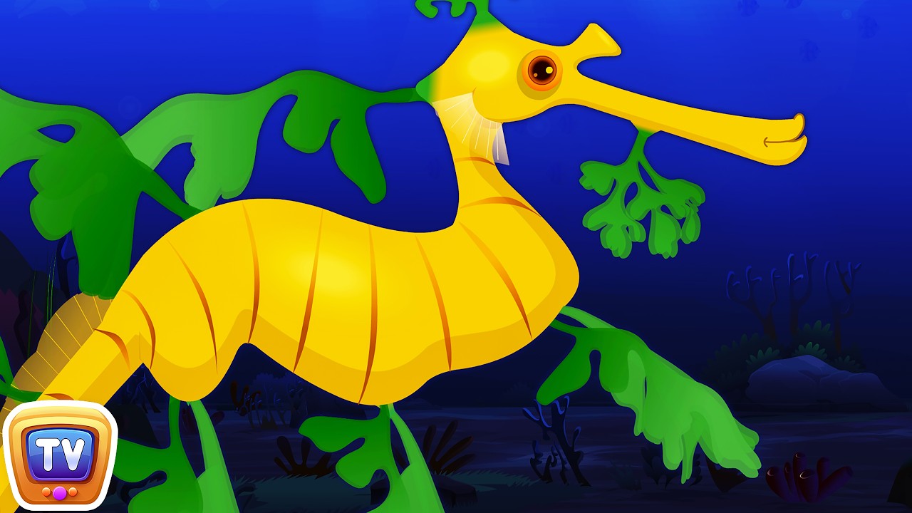 Leafy Sea Dragon Nursery Rhyme | ChuChuTV Sea World | Animal Songs & Nursery Rhymes For Children
