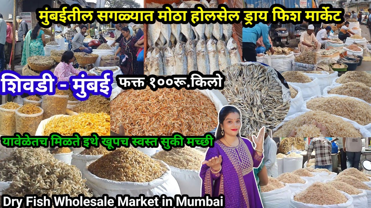 मुंबईतील सगळ्यात मोठा सुक्या मच्छीचा होलसेल मार्केट | Dry Fish Market In Mumbai | #dryfishmarket