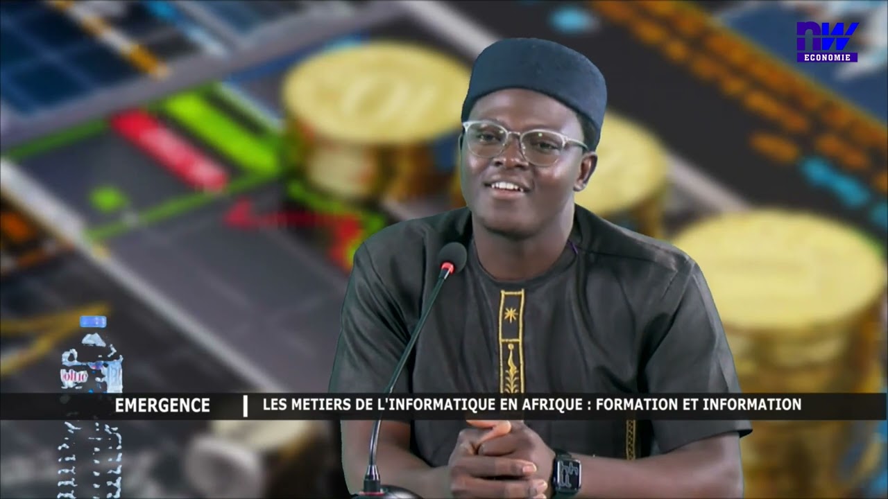 Les métiers de l'informatique en Afrique : formation et information