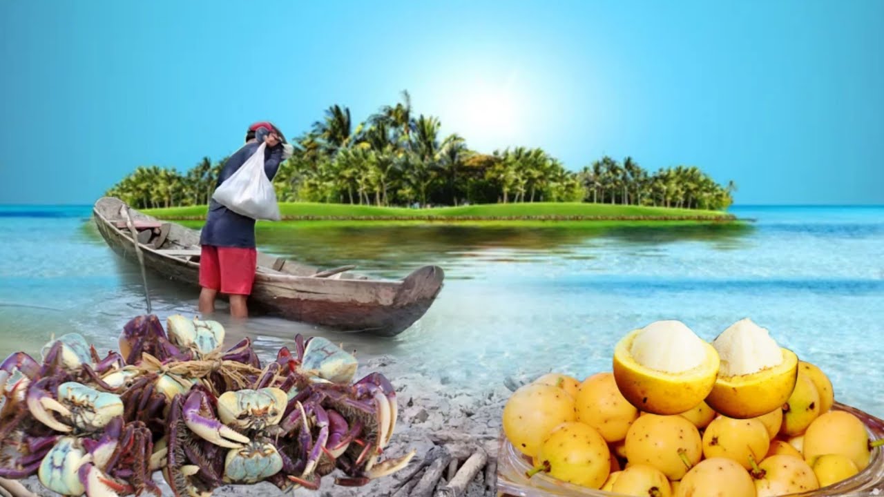 Visitamos uma ILHA DESERTA repleta de FRUTAS e CARANGUEJOS
