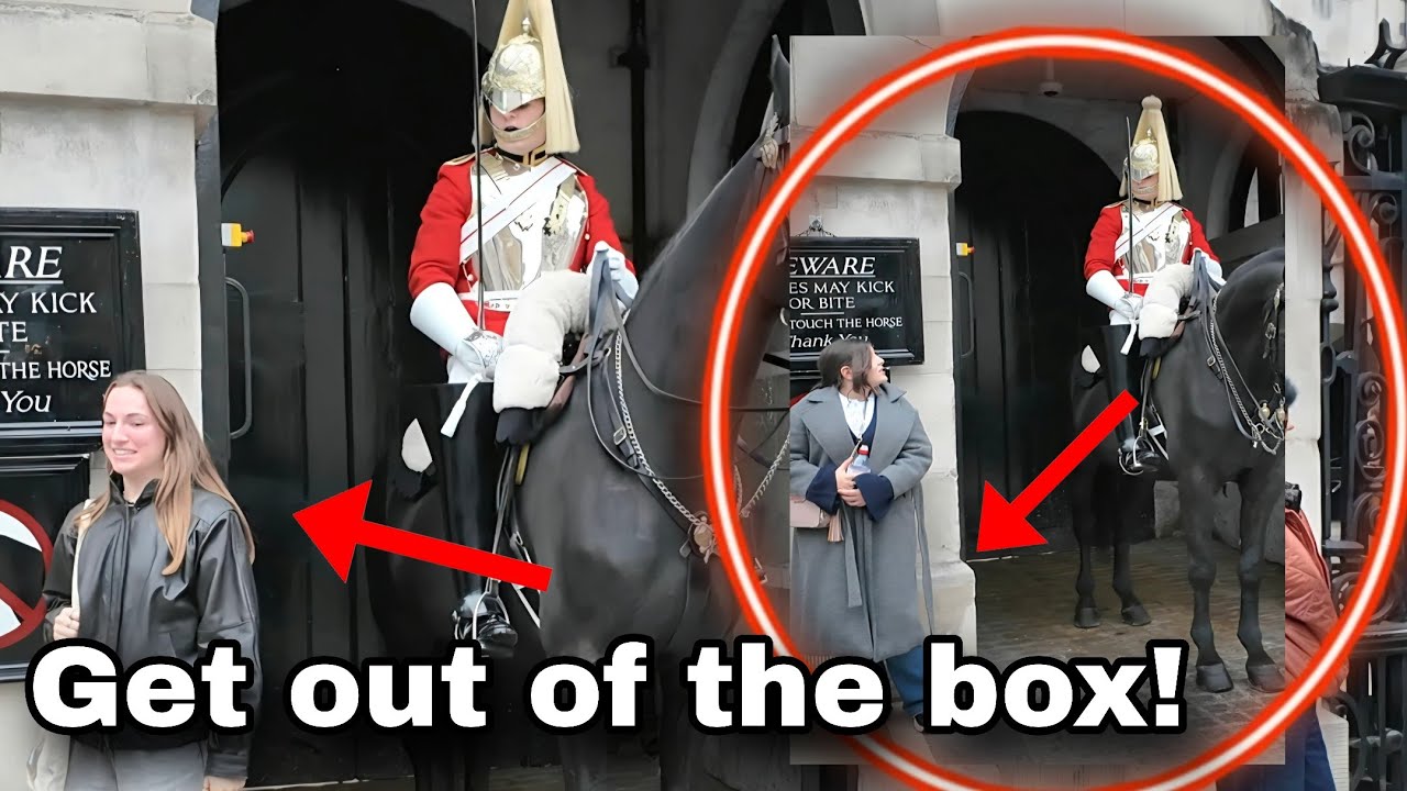 Brilliant King's Guard SHOUTED loudly at these tourists who don't listen!