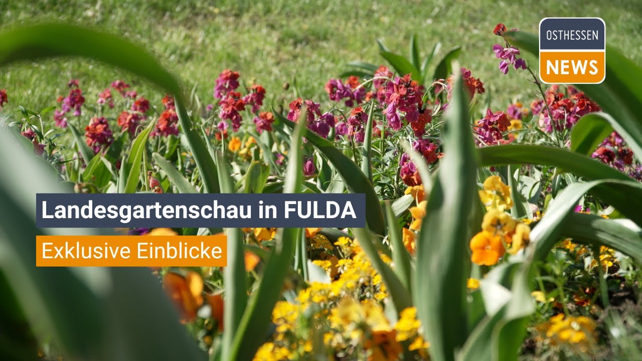 FULDA: Exklusive Einblicke auf der Landesgartenschau