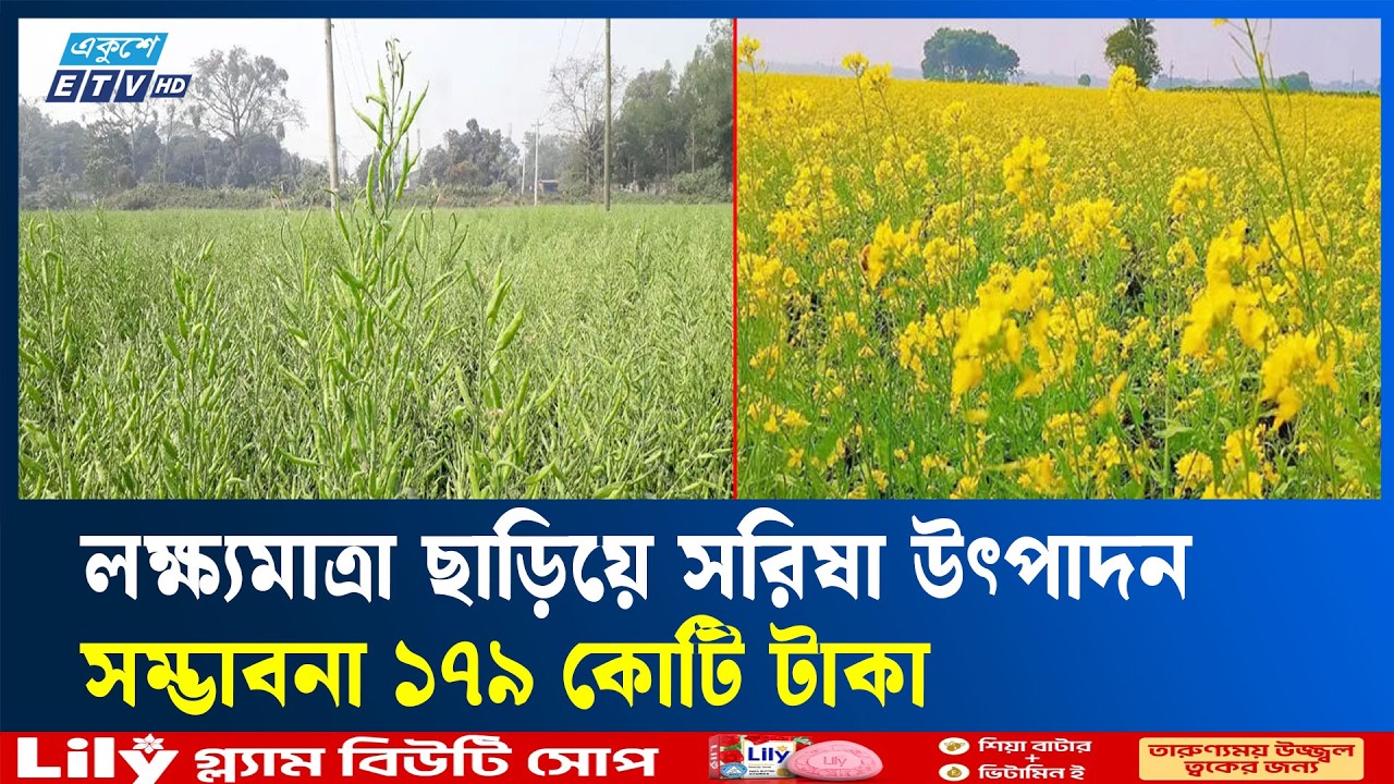 ঠাকুরগাঁওয়ে সরিষায় রেকর্ড আবাদ | Mustard Farming | Ekushey TV