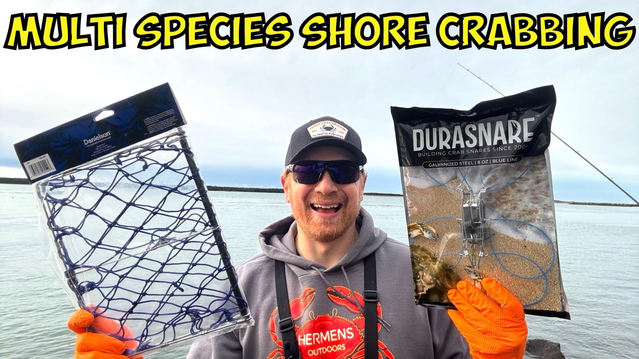 Multi-Species SHORE CRABBING with Durasnare & Foldable Crab Traps