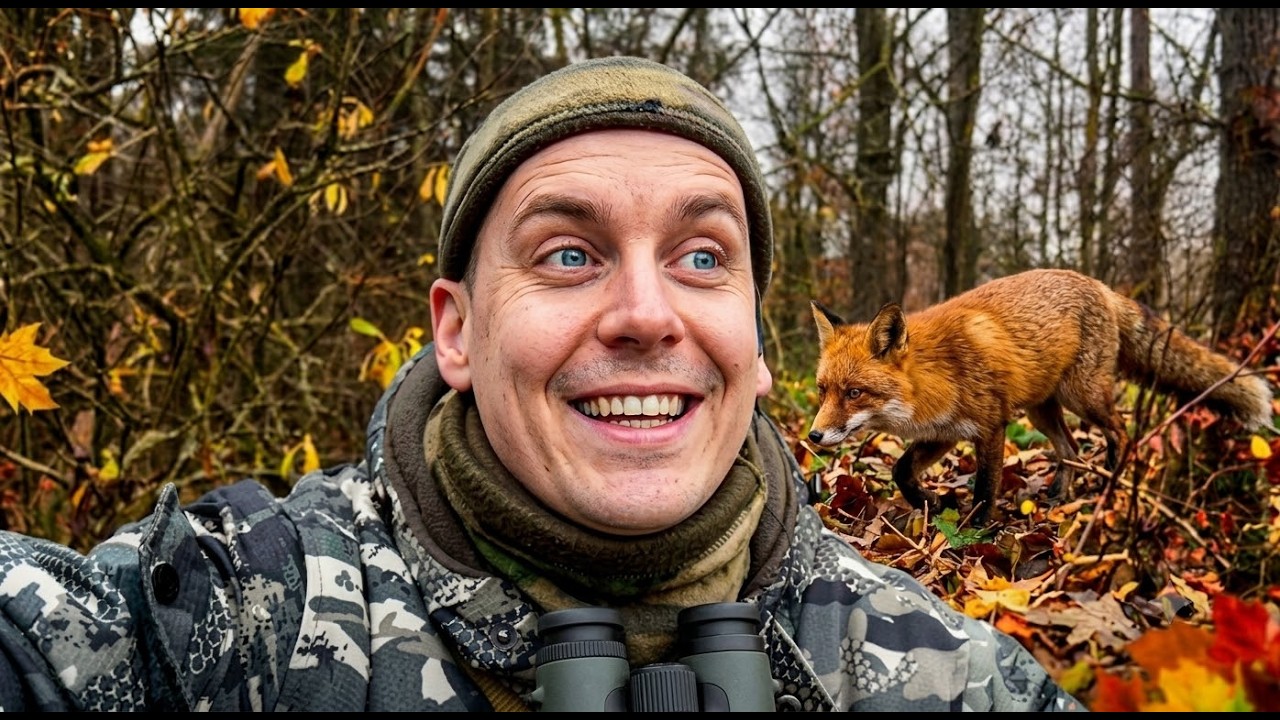 Охота в белорусских лесах. Видеоблог из леса и рассказ об охоте.