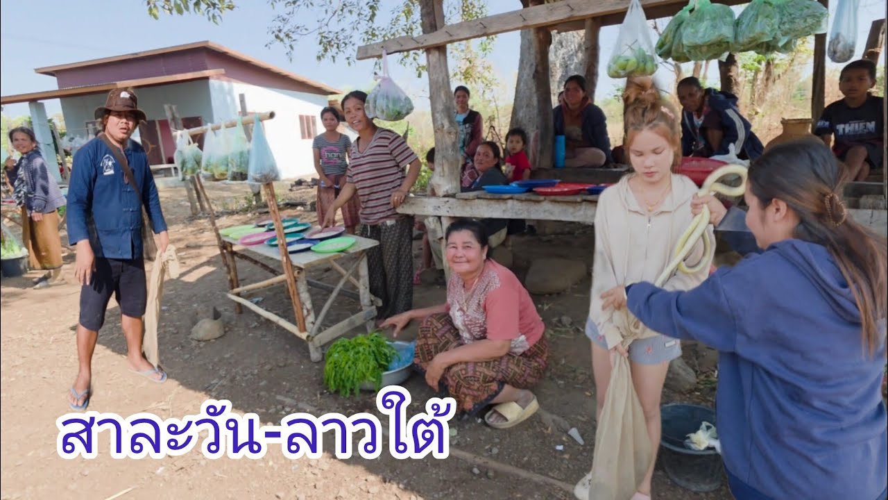 #เที่ยวลาวใต้ #วิถีชาวบ้าน #แขวงสาละวัน อาหารธรรมชาติตามฤดูกาล ใข่มดแดง กระปอม งูสิง ผักป่า#สปปลาว 