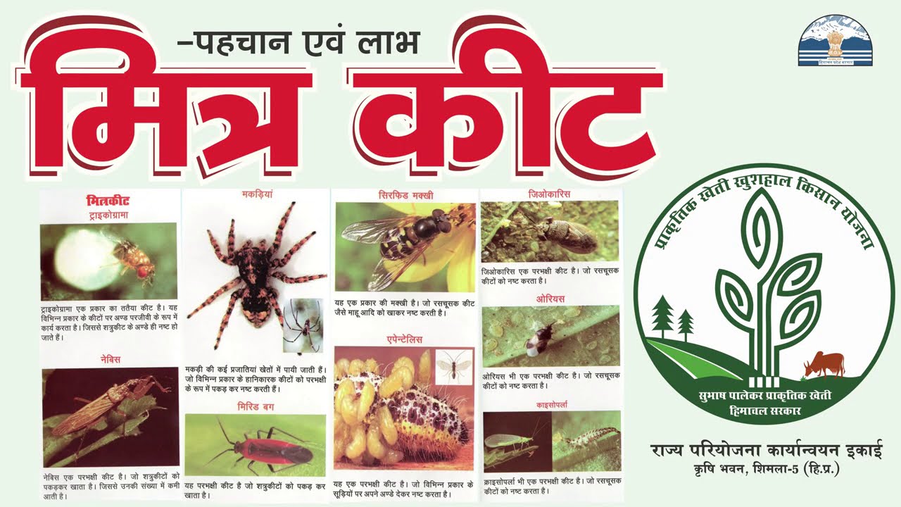 मित्र कीट जाने कैसे लाभदायक है   Subhash Palekar #Natural Farming | #PrakritikKheti  #HP #Mitra Keet