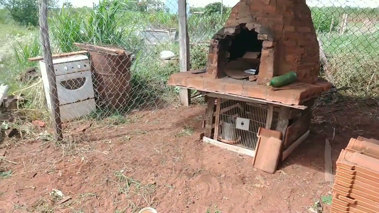 Construindo galinheiro antes e depois.