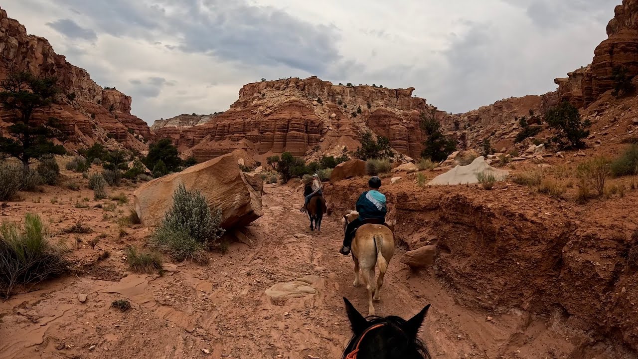 Wilderness Ridge Adventures! Horseback Riding Capitol Reef National Park & Fishlake National Forest!