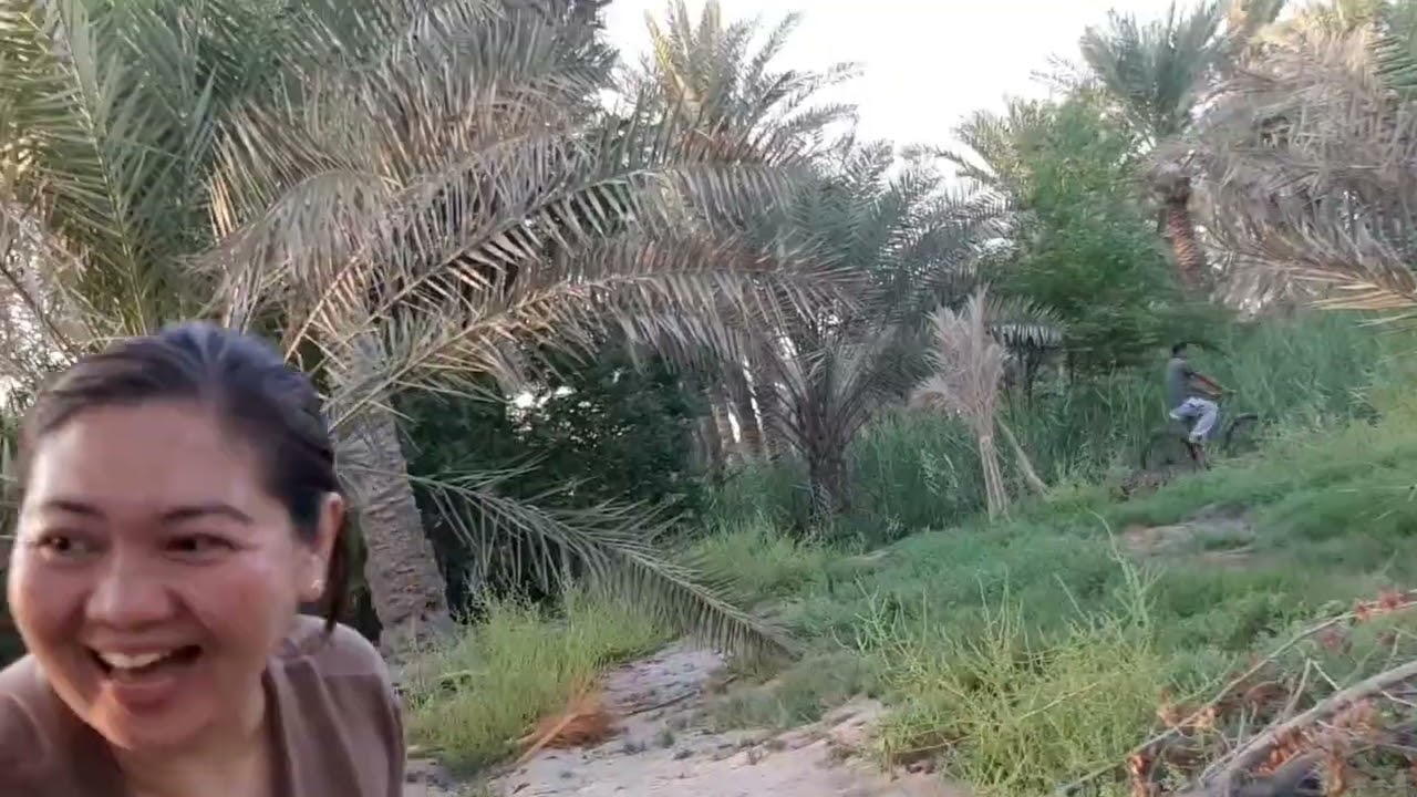 Harvesting Dates/great experience part 1