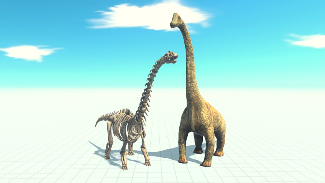Skeleton Sauropod And Brachiosaurus Vs Every Unit ARBS | Animal Revolt Battle Simulator