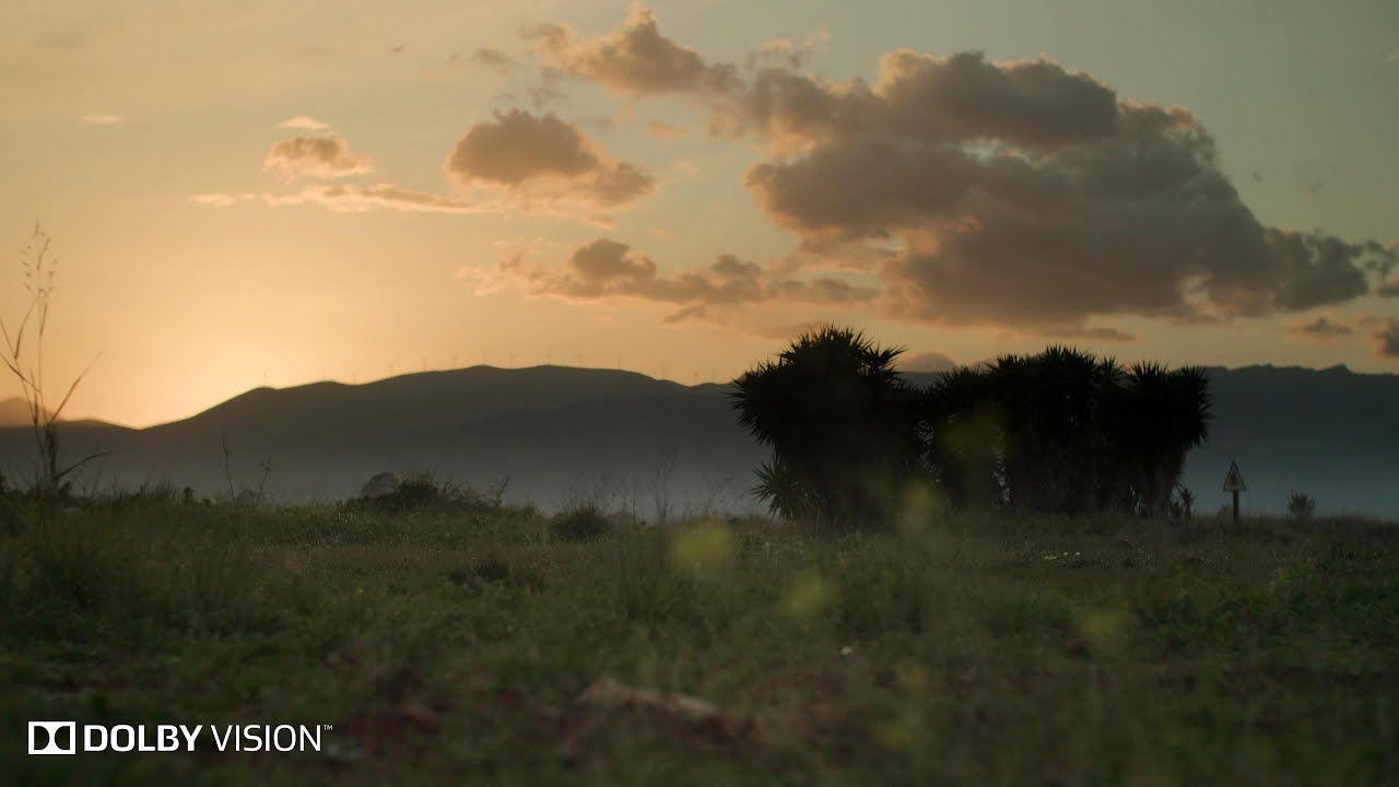 Golden Veil | BMPCC 4K (HDR)