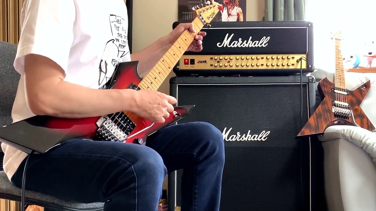 THIS LONELY HEART～LOUDNESS （Guitar Cover）