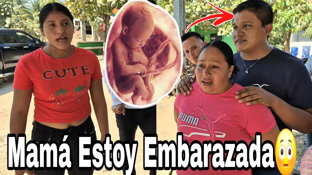 Esta Noticia Le Cayó 