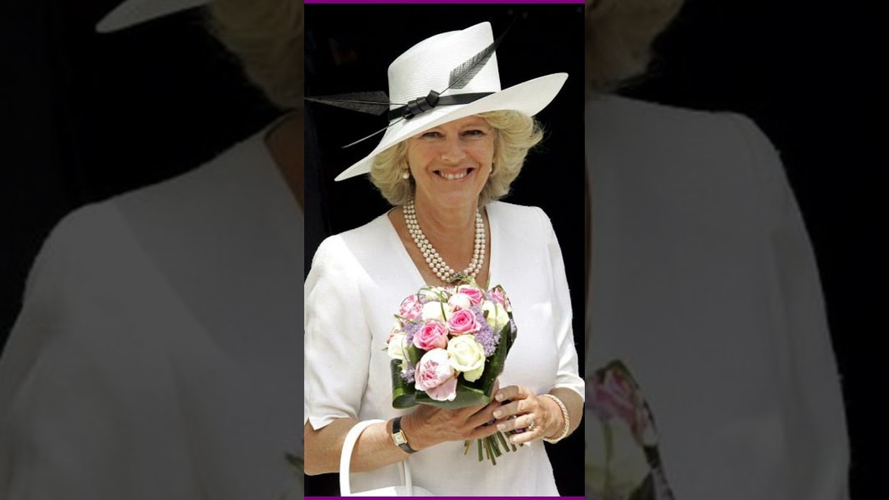 Camilla is shocked! An unanswered mystery!