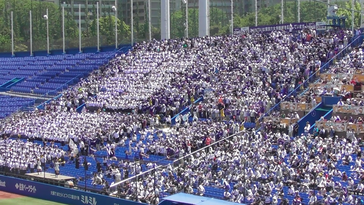 2019春季東京六大学応援　明治大　光焔~紫電~神風~狙いうち~Winner~ノックアウトマーチ