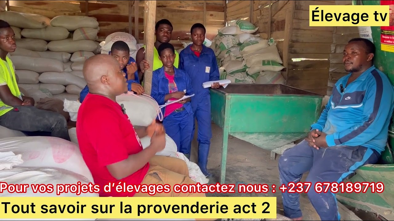 La provenderie le coeur de l'élevage : tout savoir sur la provenderie act 2