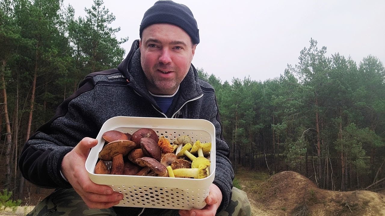 GRZYBOBRANIE W POŁOWIE GRUDNIA – PUSZCZA KOZIENICKA 13.12.25