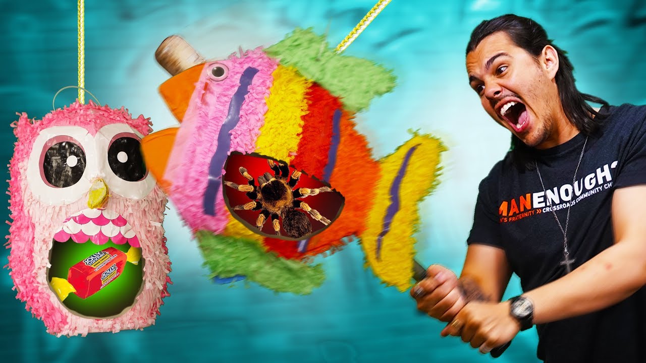 DON'T Hit The Wrong Piñata Challenge!