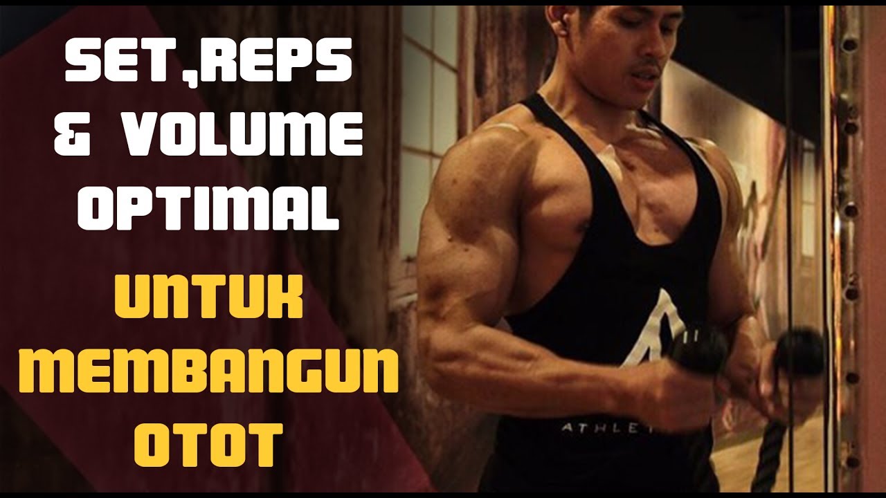 SET, REPS & VOLUME OPTIMAL BUAT MEMBANGUN OTOT