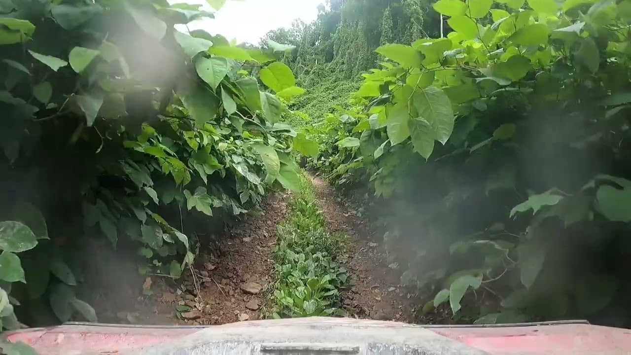 Day 2&3 at Black Mountain offroad park